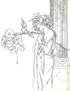 Rose Sketch